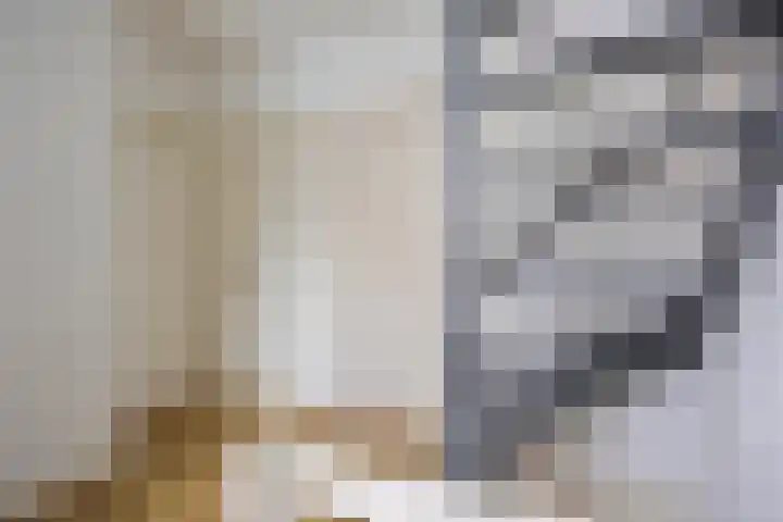 Boskamp 30 Vries thumbnail 34
