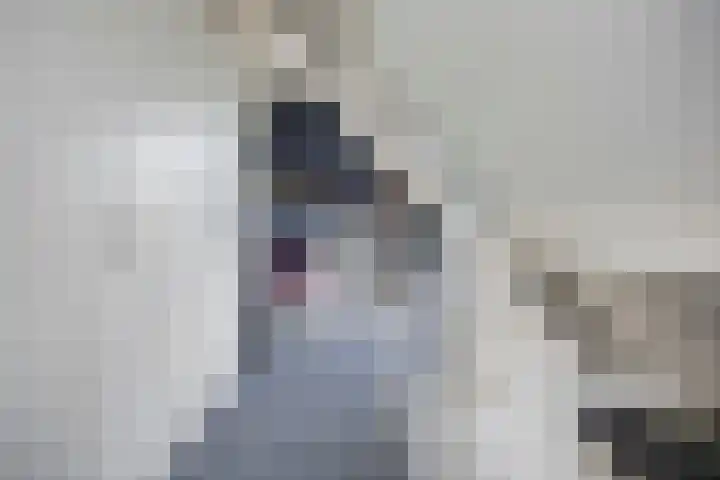 Boskamp 30 Vries thumbnail 35