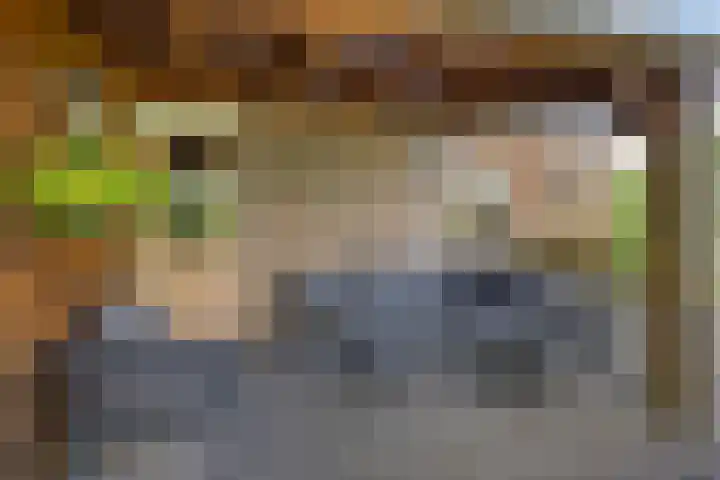 Boskamp 30 Vries thumbnail 37