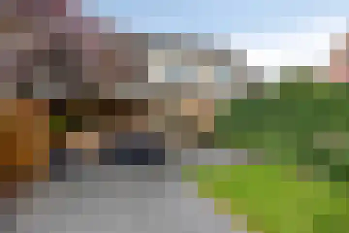 Boskamp 30 Vries thumbnail 38