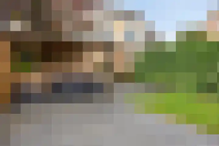 Boskamp 30 Vries thumbnail 39
