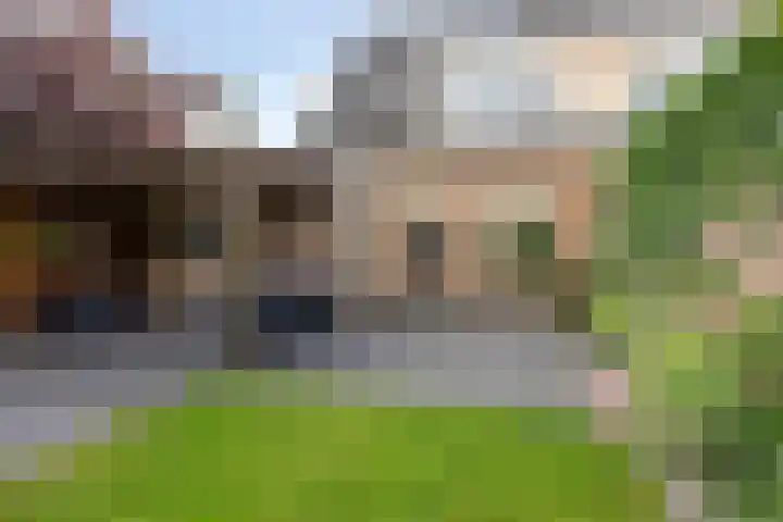 Boskamp 30 Vries thumbnail 4