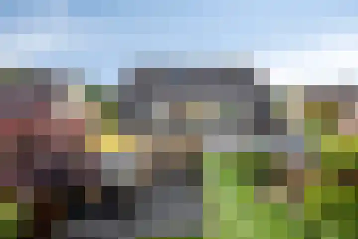 Boskamp 30 Vries thumbnail 40