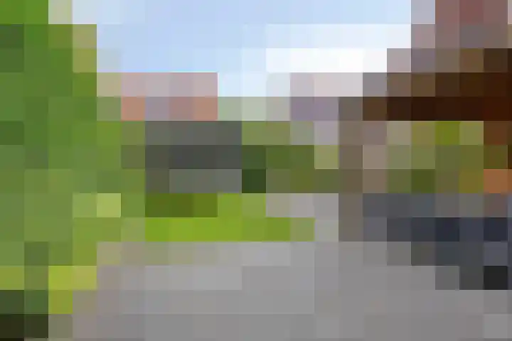 Boskamp 30 Vries thumbnail 41