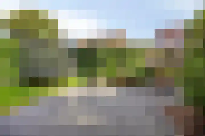 Boskamp 30 Vries thumbnail 42
