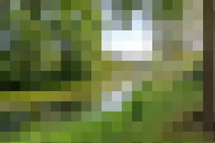 Boskamp 30 Vries thumbnail 43