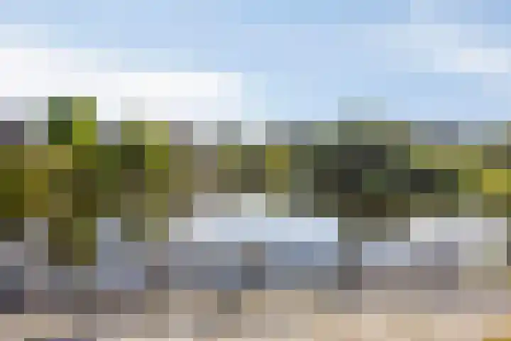 Boskamp 30 Vries thumbnail 44