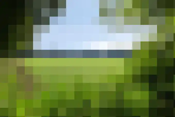 Boskamp 30 Vries thumbnail 45