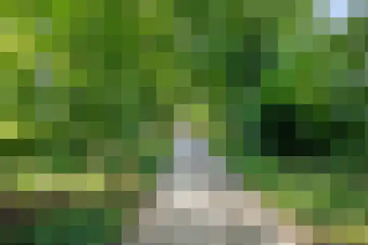 Boskamp 30 Vries thumbnail 46