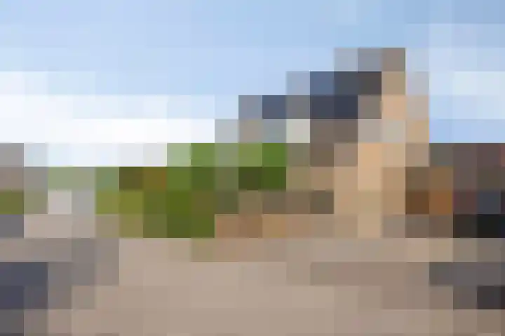 Boskamp 30 Vries thumbnail 5