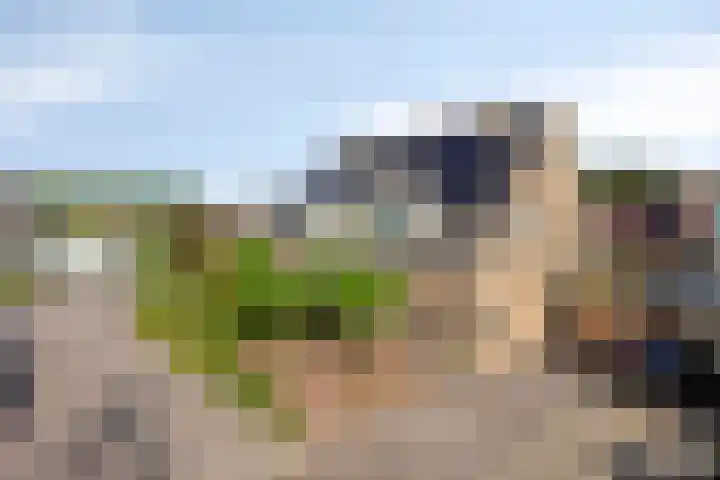 Boskamp 30 Vries thumbnail 50