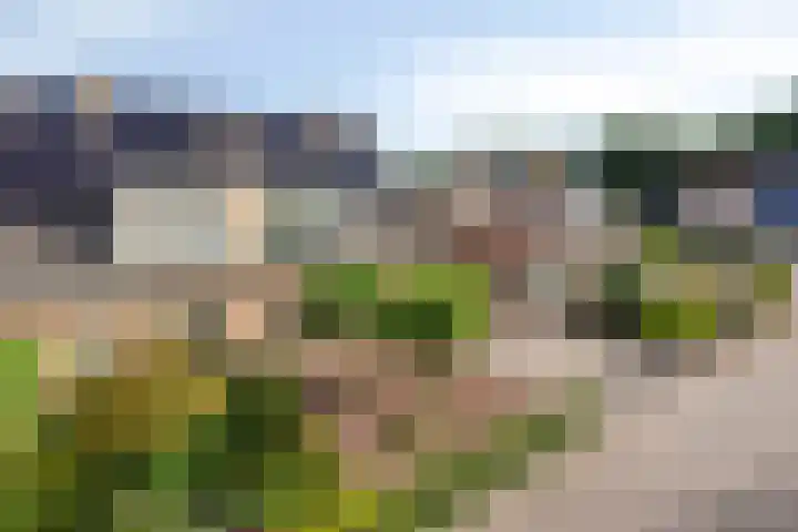 Boskamp 30 Vries thumbnail 6