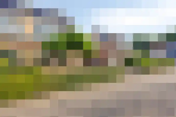 Boskamp 30 Vries thumbnail 7