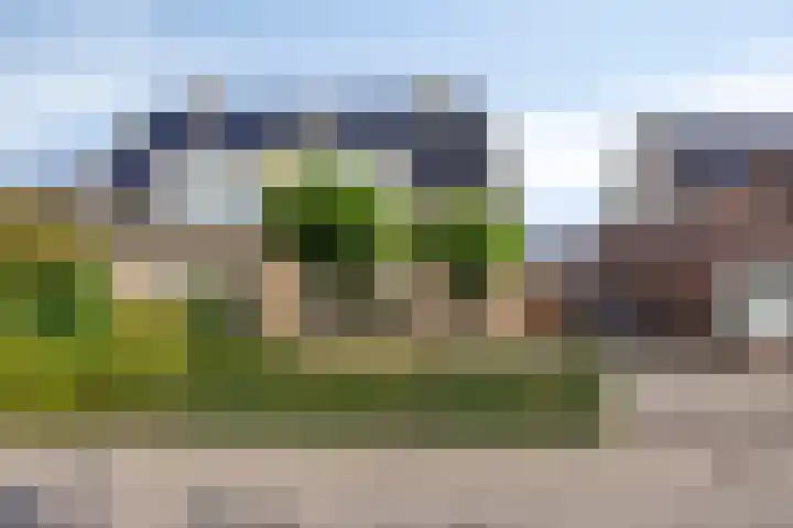 Boskamp 30 Vries thumbnail 8