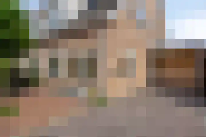 Boskamp 30 Vries thumbnail 9