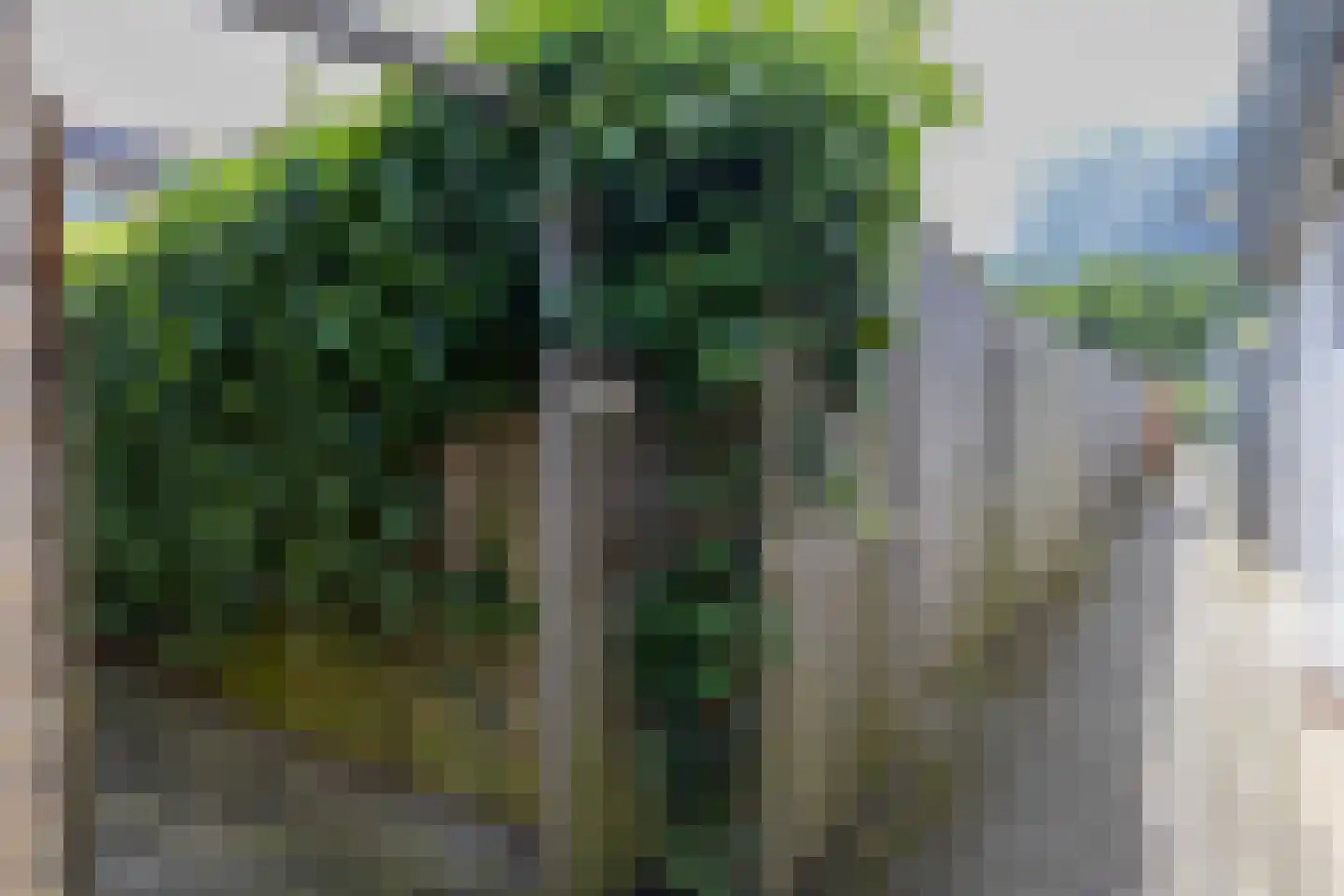 Boskamp 4 Hattem thumbnail 22
