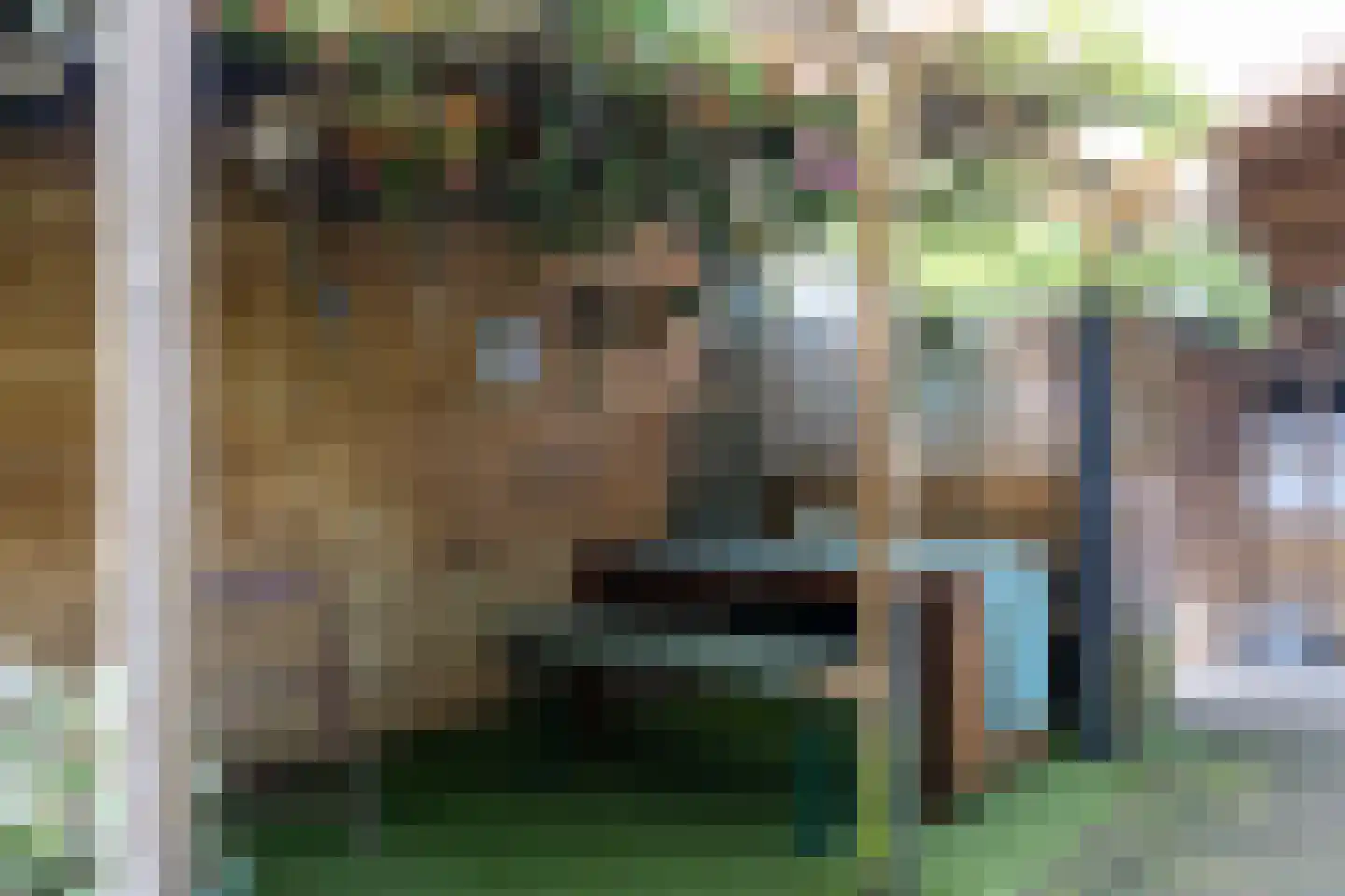 Boskamp 4 Hattem thumbnail 24