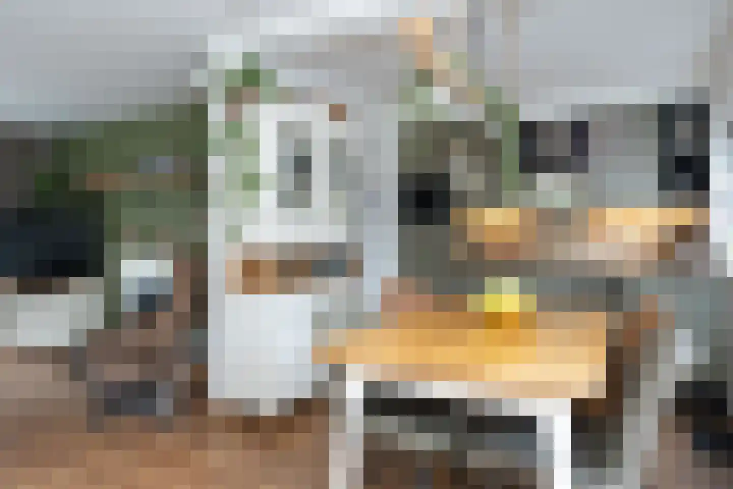 Boskamp 4 Hattem thumbnail 8