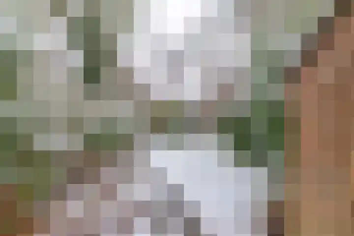 Boskamp 6 Haren Gn thumbnail 14