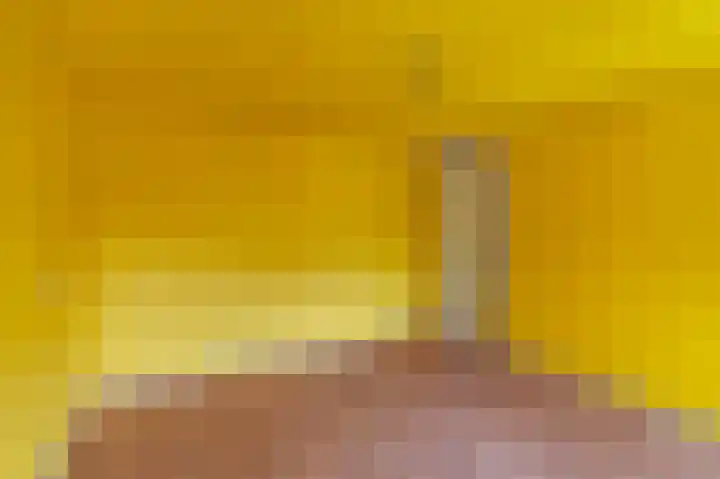 Boskamp 6 Haren Gn thumbnail 18