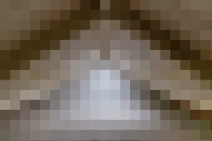Boskamp 6 Haren Gn thumbnail 24