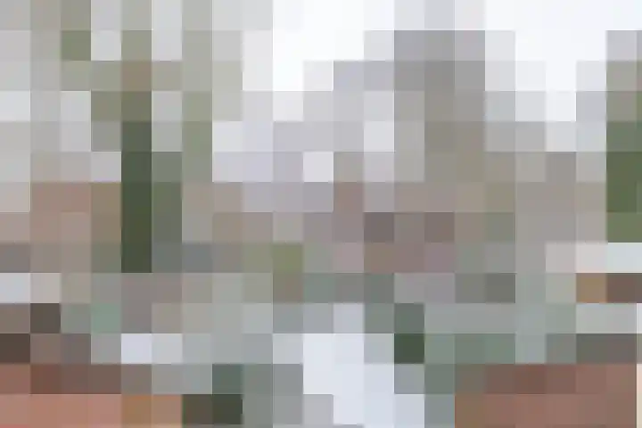 Boskamp 6 Haren Gn thumbnail 25