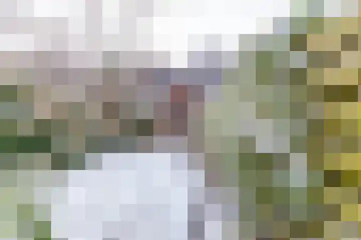 Boskamp 6 Haren Gn thumbnail 26