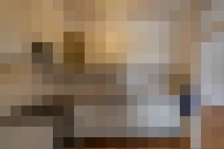 Boskamp 6 Haren Gn thumbnail 4