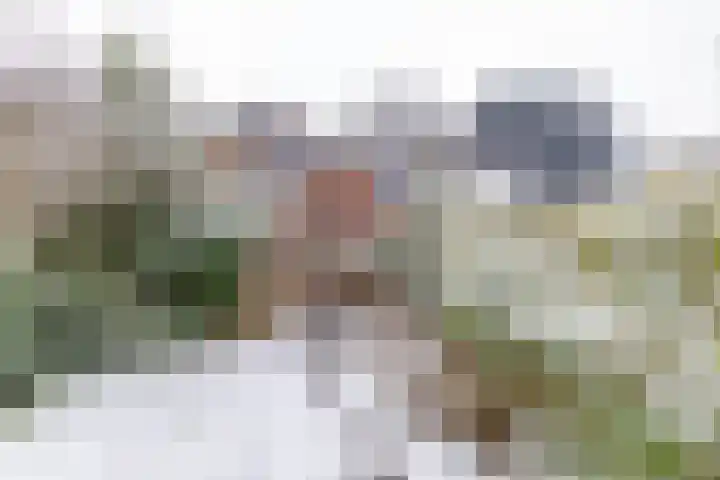 Boskamp 6 Haren Gn thumbnail 5