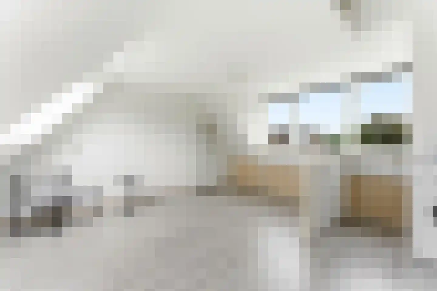 Boskamp 65 Hendrik-Ido-Ambacht thumbnail 23