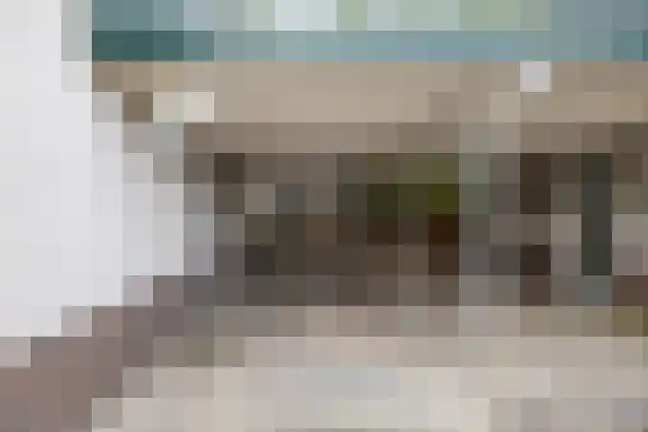 Boskamp 7 Vries thumbnail 10