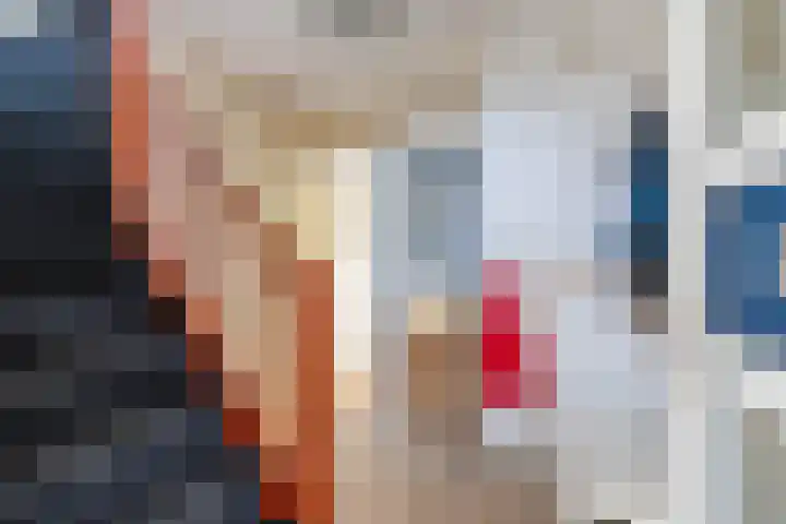 Boskamp 7 Vries thumbnail 11