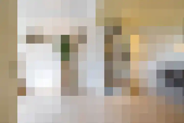 Boskamp 7 Vries thumbnail 13