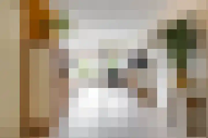 Boskamp 7 Vries thumbnail 14