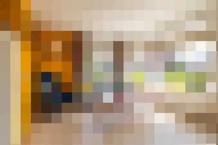 Boskamp 7 Vries thumbnail 16