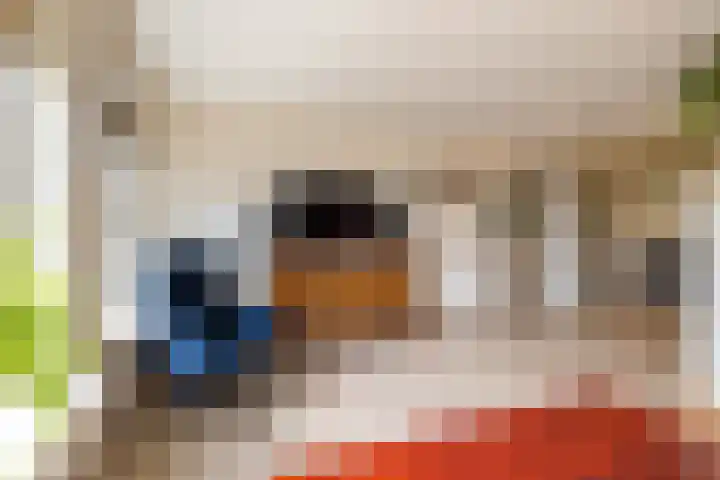 Boskamp 7 Vries thumbnail 17