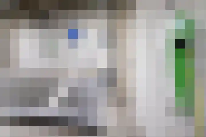 Boskamp 7 Vries thumbnail 18