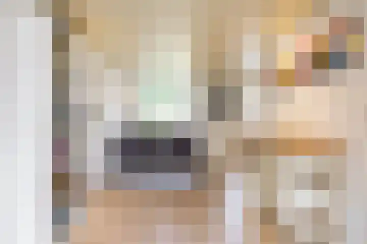 Boskamp 7 Vries thumbnail 19
