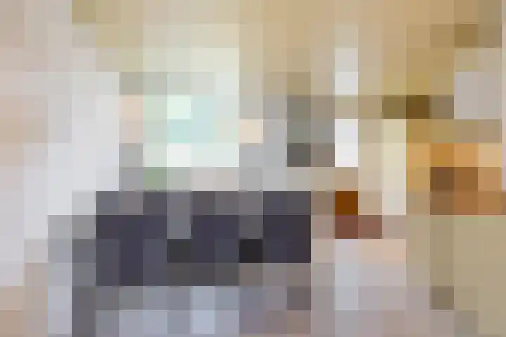Boskamp 7 Vries thumbnail 20