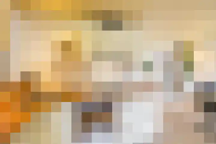 Boskamp 7 Vries thumbnail 22