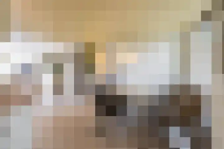 Boskamp 7 Vries thumbnail 23