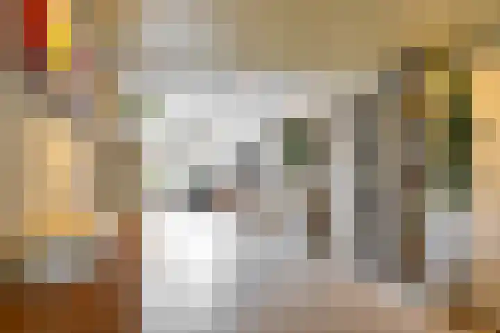 Boskamp 7 Vries thumbnail 24