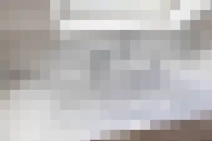 Boskamp 7 Vries thumbnail 27