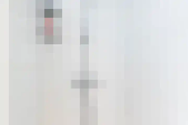 Boskamp 7 Vries thumbnail 28