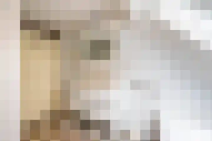 Boskamp 7 Vries thumbnail 29