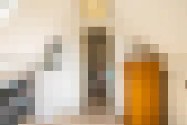 Boskamp 7 Vries thumbnail 39