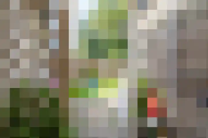 Boskamp 7 Vries thumbnail 40