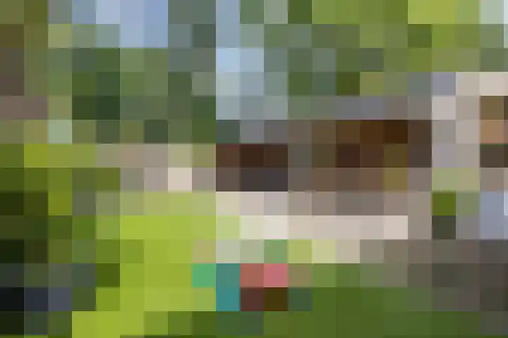 Boskamp 7 Vries thumbnail 41