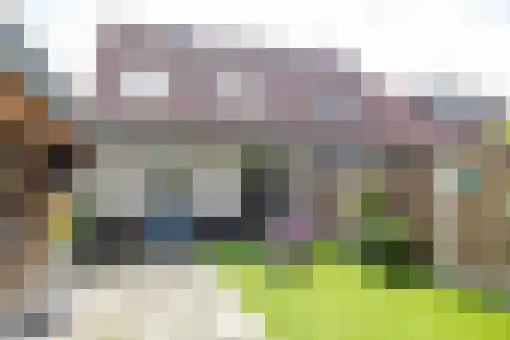 Boskamp 7 Vries thumbnail 43