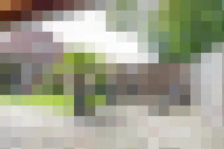 Boskamp 7 Vries thumbnail 46